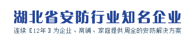 湖北省安防行業知名企業